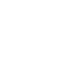 Tiktok Icon